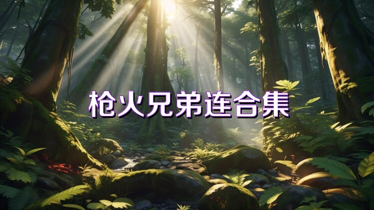 枪火兄弟连合集