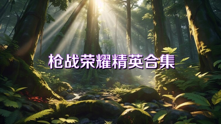 枪战荣耀精英合集