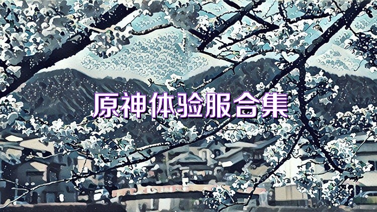 原神体验服合集