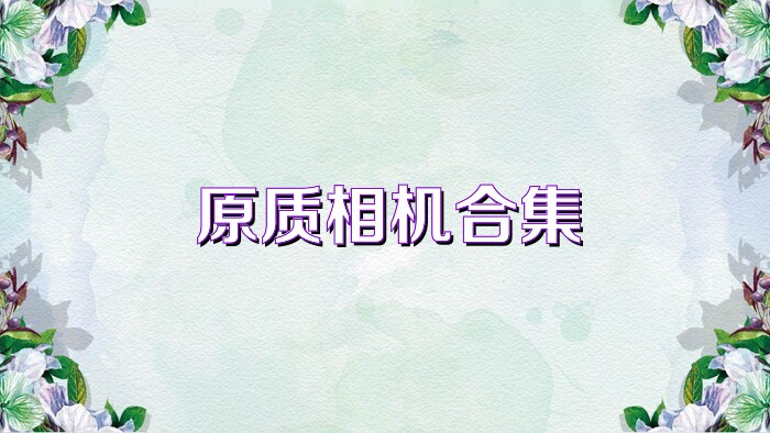 原质相机合集