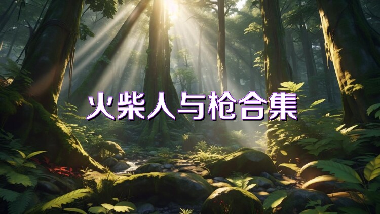 火柴人与枪合集