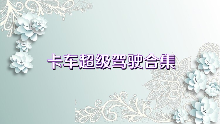 卡车超级驾驶合集