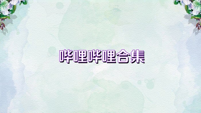 哔哩哔哩合集