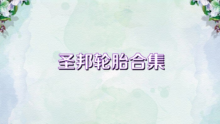 圣邦轮胎合集