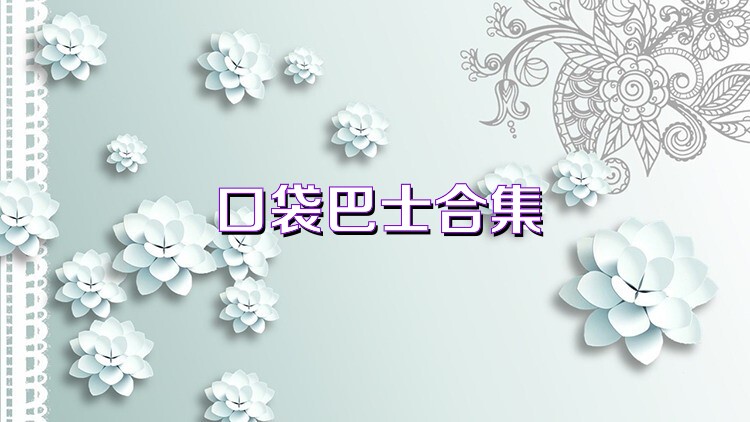 口袋巴士合集