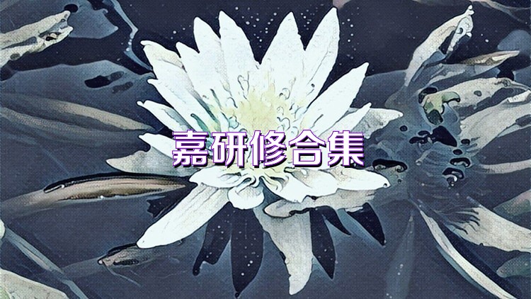嘉研修合集