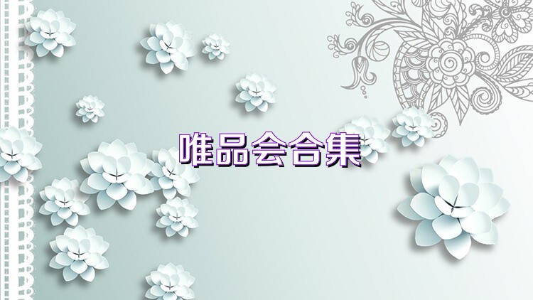 唯品会合集