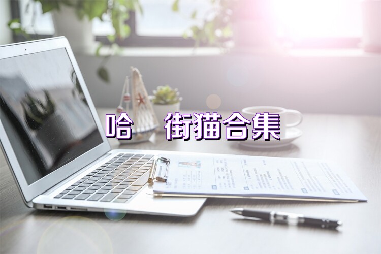 哈啰街猫合集
