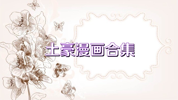 土豪漫画合集