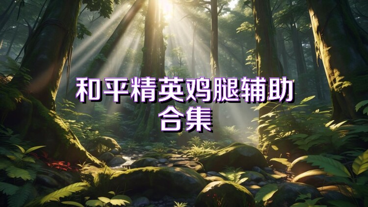 和平精英鸡腿辅助合集