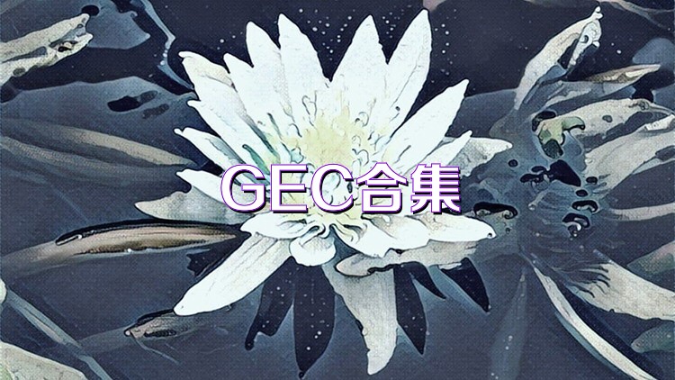 GEC合集
