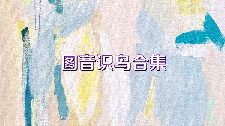 图音识鸟合集