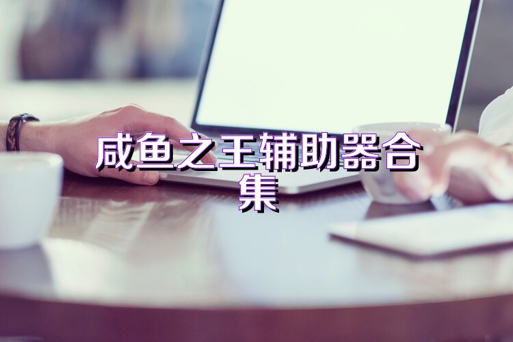 咸鱼之王辅助器合集