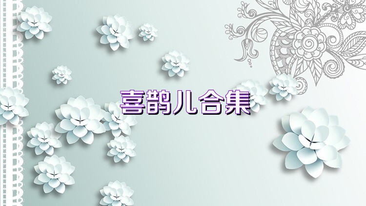 喜鹊儿合集