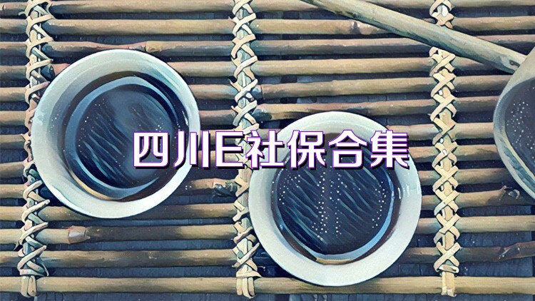 四川E社保合集