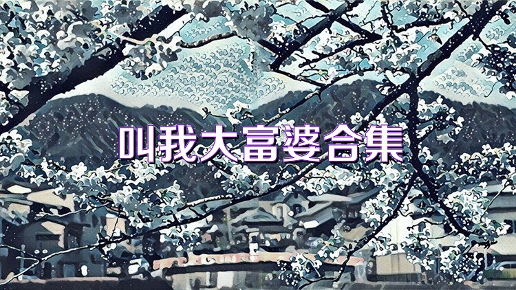 叫我大富婆合集