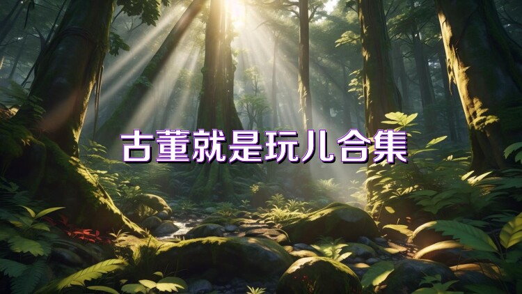 古董就是玩儿合集