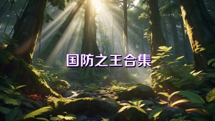 国防之王合集
