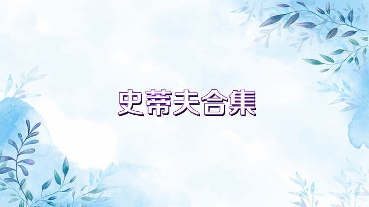 史蒂夫合集