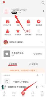 安卓网易云音乐如何取消自动续费