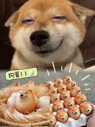 狗蛋是什么梗