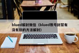 blued申诉解封的方法