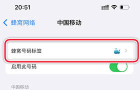苹果手机如何设置主副号码