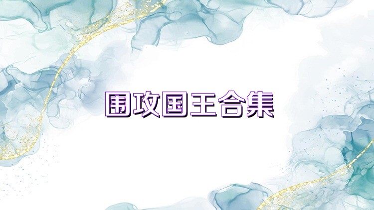 围攻国王合集