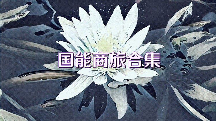 国能商旅合集