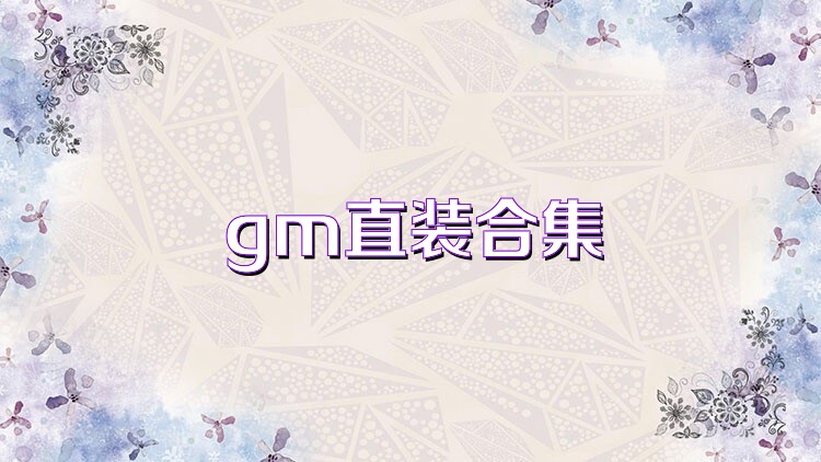 gm直装合集