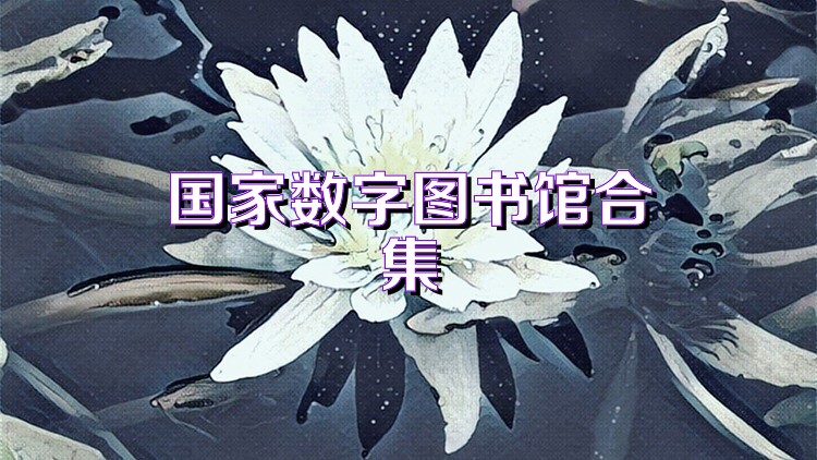 国家数字图书馆合集