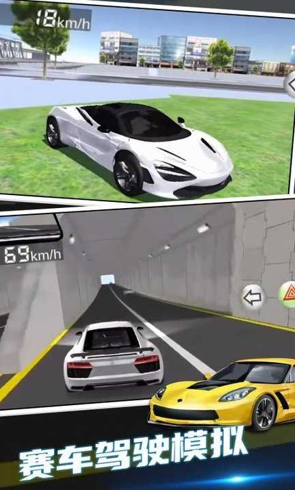 赛车驾驶模拟器最新版
