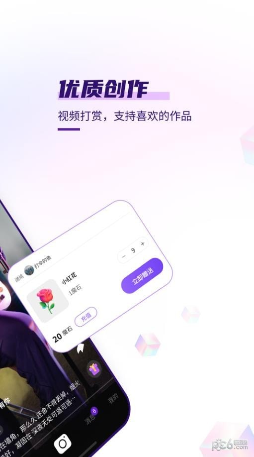 龟视手机版