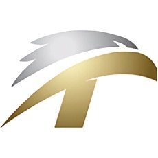 天河保安官网版