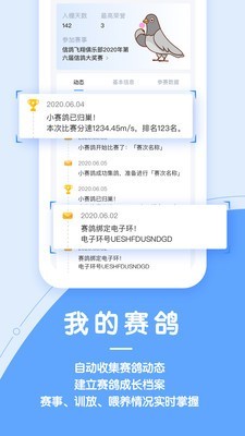 信鸽纵横官网版