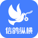 信鸽纵横安卓版