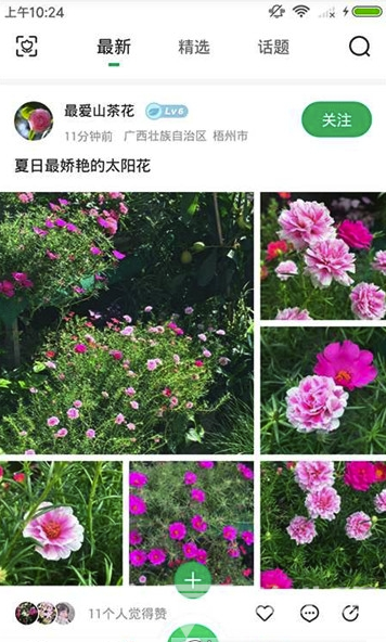 花花识花手机版
