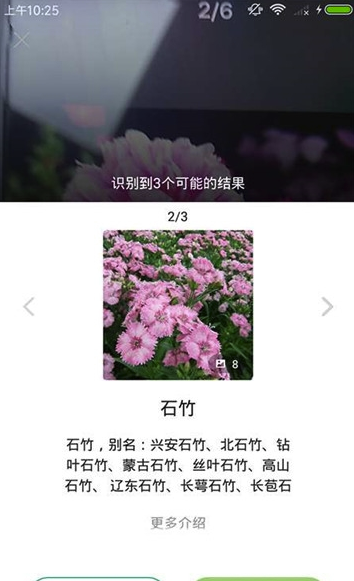 花花识花最新版