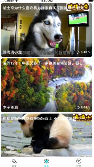 步步多官网版