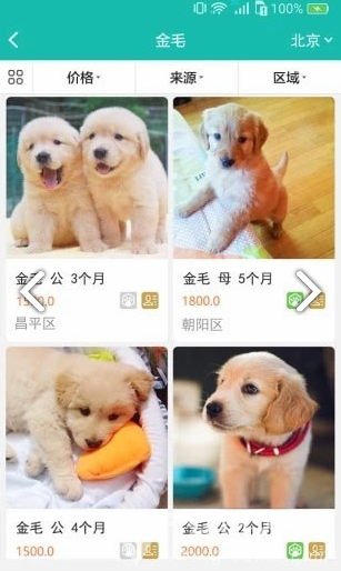 宠都免费版