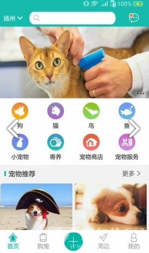 宠都
