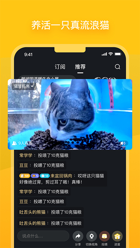 哈啰街猫最新版