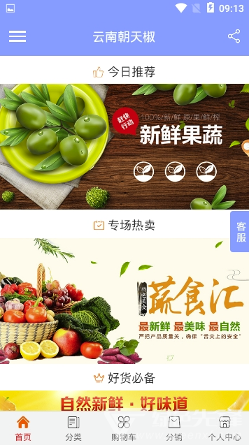 云南朝天椒