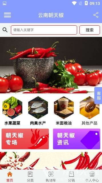 云南朝天椒最新版
