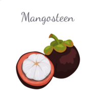 山竹社区免费版