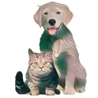 猫狗翻译官免费版