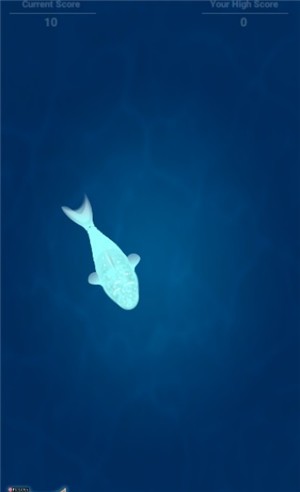 CatFishing手机版