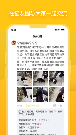 哈啰街猫免费版