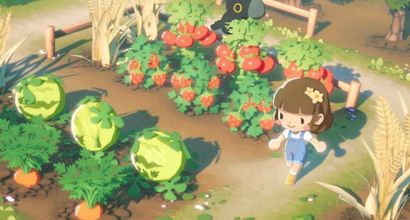 泡芙天空岛官网版