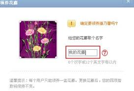 qq空间花藤如何养出来